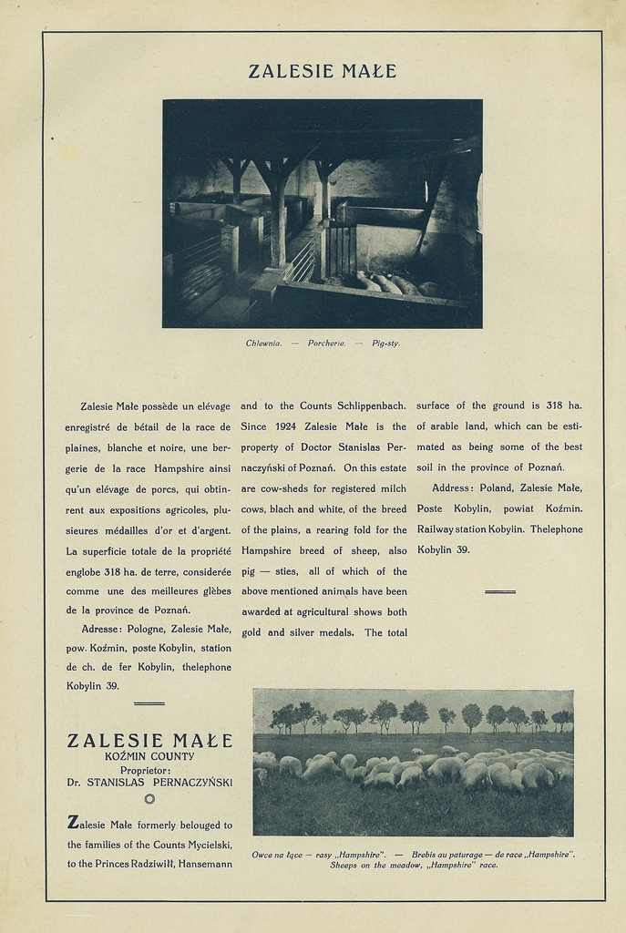 216 zalesie male.jpg